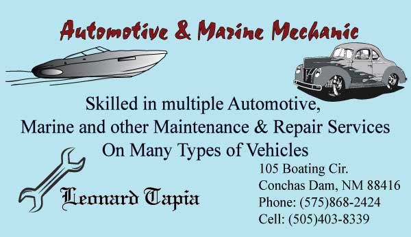 Automotive & Marine Mechanic Business Card
