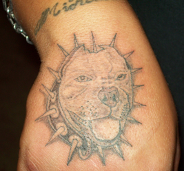 Pit Bull Tattoo