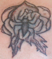 Rose Spider Tattoo