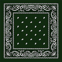 Black Paisley Bandana