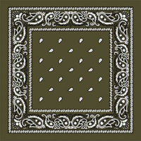 Brown Paisley Bandana