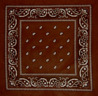 Burgundy Paisley Bandana