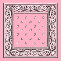 Light Pink Paisley Bandana