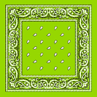 Lime Green Paisley Bandana