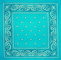 Ocean Blue Paisley Bandana