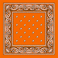 Orange Paisley Bandana