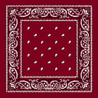 Red Paisley Bandana