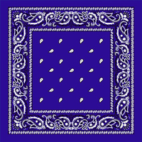 Royal Blue Paisley Bandana