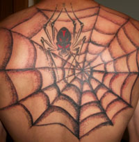 Spider Web Tattoo