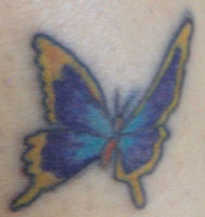 Butterfly Tattoo