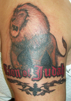 Lion Tattoo